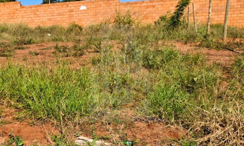 976fa4d0-3d10-4677-b875-b9852384c761