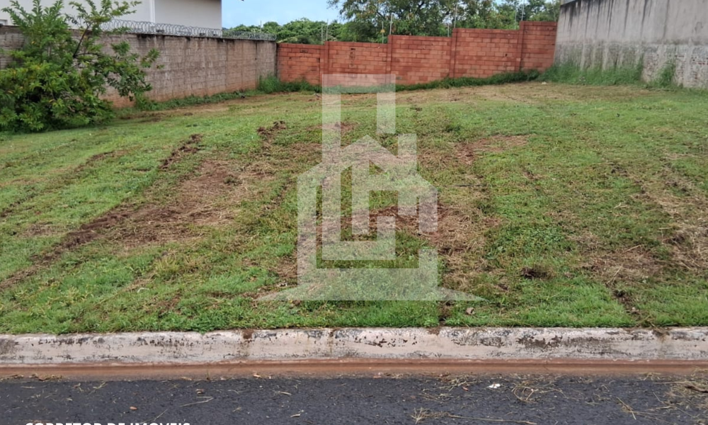 Design sem nome (11)