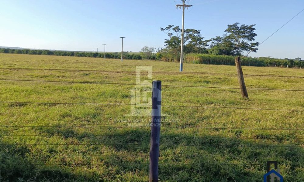 SITIO CUCÂINA - 00012 (2)