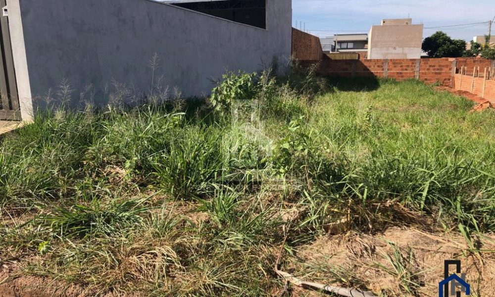 Terreno jardim Centenario Ricardim Damia Rua Dragostinho L. Toledo,ao lado do numero 2.335 (3)