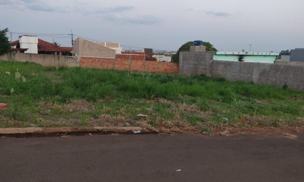 WhatsApp Image 2023-09-29 at 11.45.51 (1)