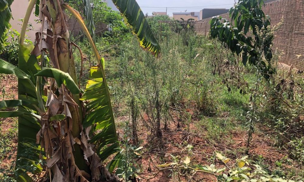 WhatsApp Image 2023-10-04 at 14.00.22 (1)