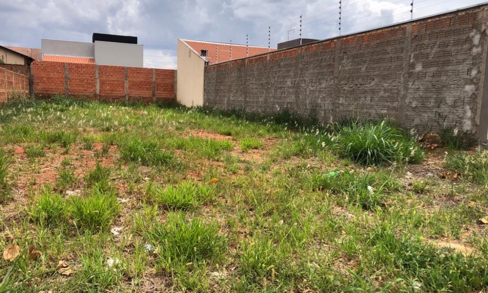 WhatsApp Image 2023-10-04 at 14.08.55 (1)